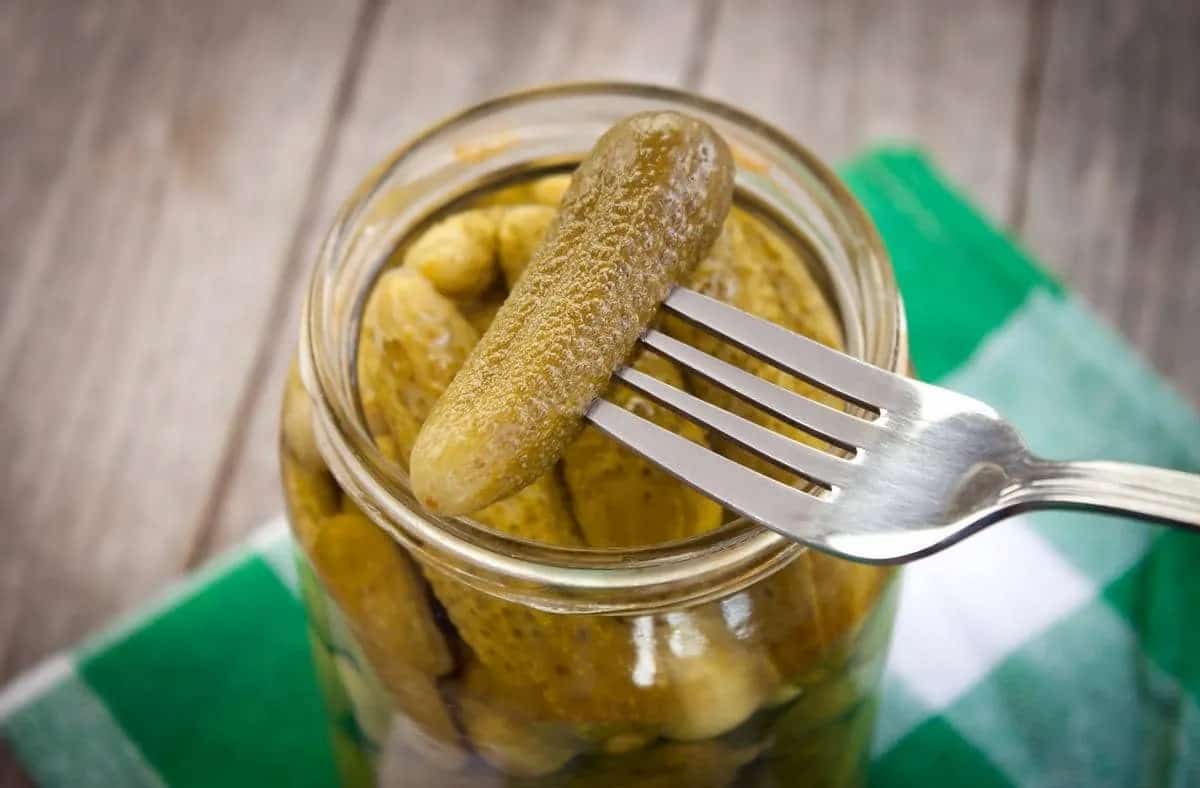 تصویر 1 از خرید خیارشور جا نوشابه ای + قیمت فروش استثنایی